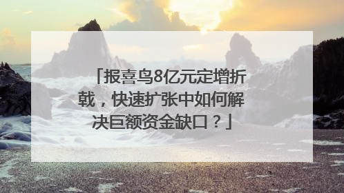 报喜鸟8亿元定增折戟，快速扩张中如何解决巨额资金缺口？