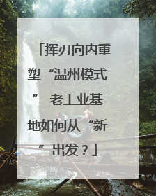 挥刃向内重塑“温州模式” 老工业基地如何从“新”出发？