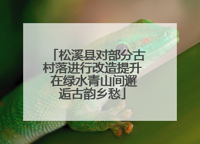 松溪县对部分古村落进行改造提升 在绿水青山间邂逅古韵乡愁