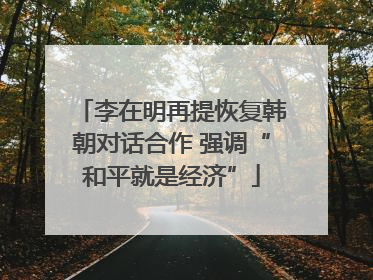 李在明再提恢复韩朝对话合作 强调“和平就是经济”