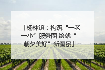 杨林镇：构筑“一老一小”服务圈 绘就“朝夕美好”新图景