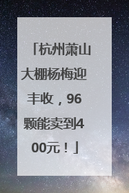 杭州萧山大棚杨梅迎丰收，96颗能卖到400元！