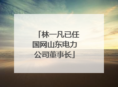 林一凡已任国网山东电力公司董事长