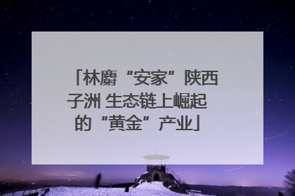 林麝“安家”陕西子洲 生态链上崛起的“黄金”产业