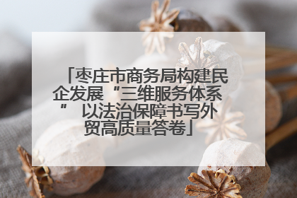 枣庄市商务局构建民企发展“三维服务体系” 以法治保障书写外贸高质量答卷