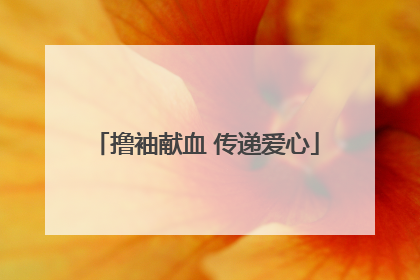 撸袖献血 传递爱心
