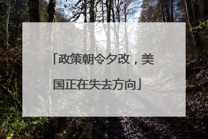 政策朝令夕改，美国正在失去方向