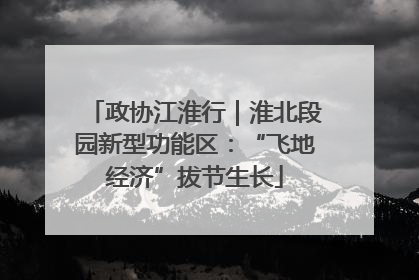 政协江淮行｜淮北段园新型功能区：“飞地经济”拔节生长