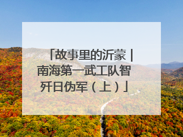 故事里的沂蒙｜南海第一武工队智歼日伪军（上）