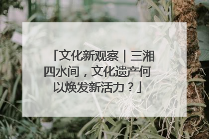 文化新观察｜三湘四水间，文化遗产何以焕发新活力？