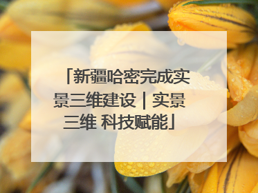 新疆哈密完成实景三维建设｜实景三维 科技赋能