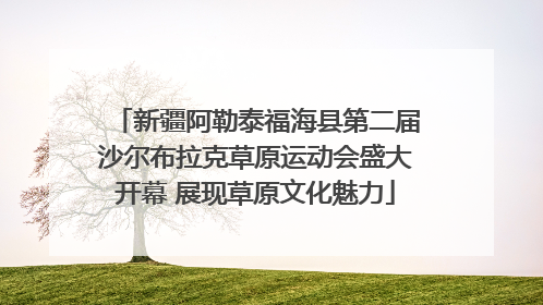 新疆阿勒泰福海县第二届沙尔布拉克草原运动会盛大开幕 展现草原文化魅力