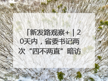 新发路观察+｜20天内，省委书记两次“四不两直”暗访，有何深意？