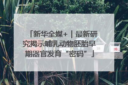 新华全媒+｜最新研究揭示哺乳动物胚胎早期器官发育“密码”