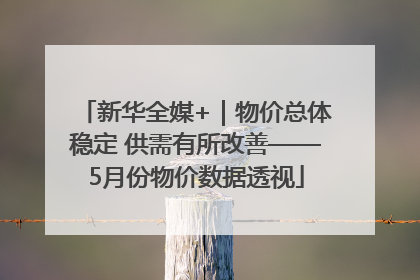 新华全媒+｜物价总体稳定 供需有所改善——5月份物价数据透视