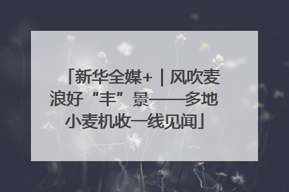 新华全媒+｜风吹麦浪好“丰”景——多地小麦机收一线见闻
