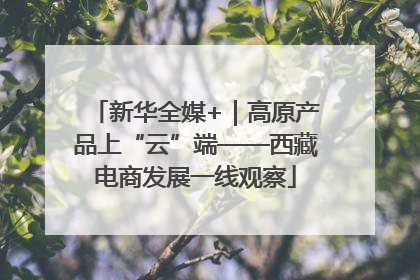 新华全媒+｜高原产品上“云”端——西藏电商发展一线观察