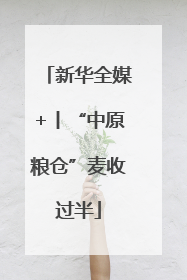 新华全媒+丨“中原粮仓”麦收过半