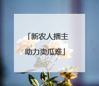 新农人播主 助力卖瓜难