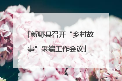 新野县召开“乡村故事”采编工作会议