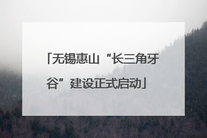 无锡惠山“长三角牙谷”建设正式启动