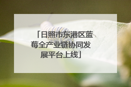 日照市东港区蓝莓全产业链协同发展平台上线