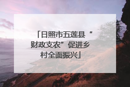 日照市五莲县“财政支农”促进乡村全面振兴