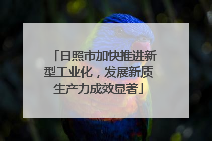 日照市加快推进新型工业化，发展新质生产力成效显著