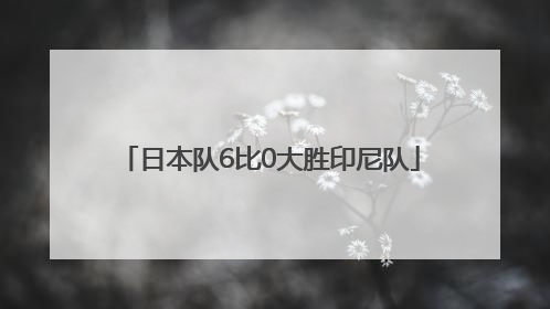 日本队6比0大胜印尼队