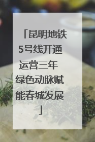 昆明地铁5号线开通运营三年 绿色动脉赋能春城发展