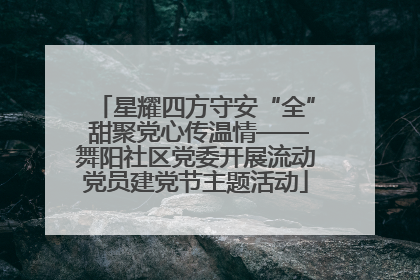 星耀四方守安“全” 甜聚党心传温情——舞阳社区党委开展流动党员建党节主题活动