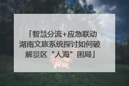 智慧分流+应急联动 湖南文旅系统探讨如何破解景区“人海”困局