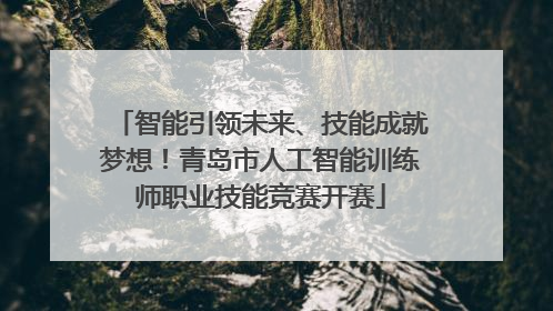 智能引领未来、技能成就梦想！青岛市人工智能训练师职业技能竞赛开赛
