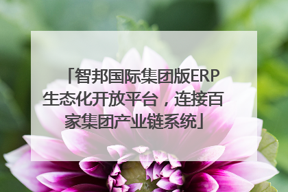 智邦国际集团版ERP生态化开放平台，连接百家集团产业链系统