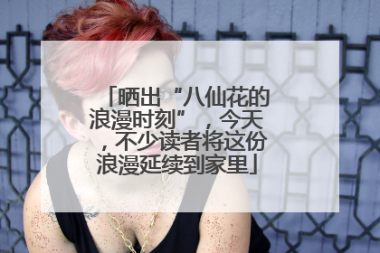 晒出“八仙花的浪漫时刻”，今天，不少读者将这份浪漫延续到家里