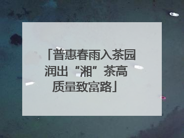 普惠春雨入茶园 润出“湘”茶高质量致富路