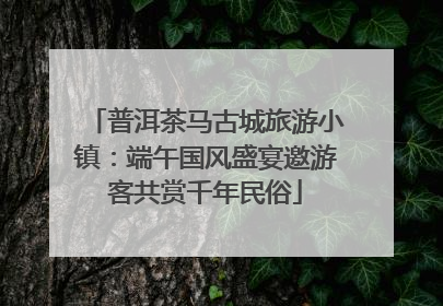 普洱茶马古城旅游小镇：端午国风盛宴邀游客共赏千年民俗