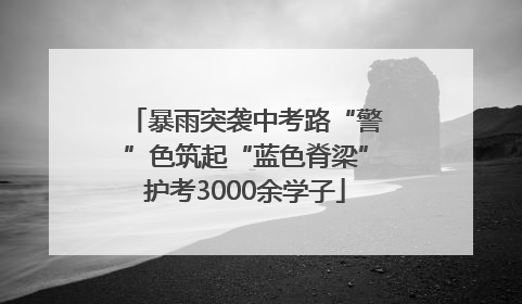 暴雨突袭中考路“警”色筑起“蓝色脊梁”护考3000余学子