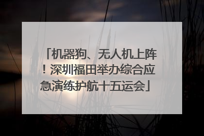 机器狗、无人机上阵！深圳福田举办综合应急演练护航十五运会