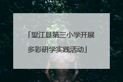 望江县第三小学开展多彩研学实践活动