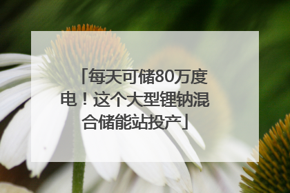每天可储80万度电！这个大型锂钠混合储能站投产
