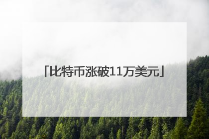 比特币涨破11万美元