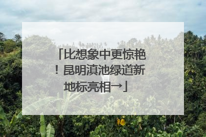 比想象中更惊艳！昆明滇池绿道新地标亮相→