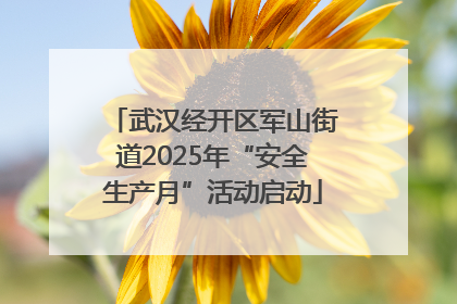 武汉经开区军山街道2025年“安全生产月”活动启动