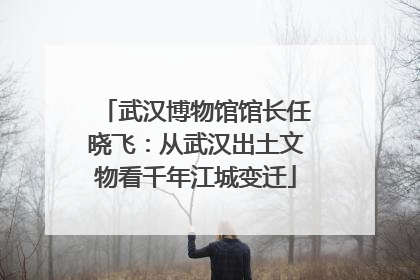 武汉博物馆馆长任晓飞：从武汉出土文物看千年江城变迁