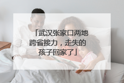 武汉张家口两地跨省接力，走失的孩子回家了