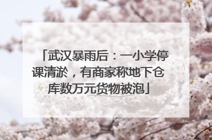 武汉暴雨后：一小学停课清淤，有商家称地下仓库数万元货物被泡