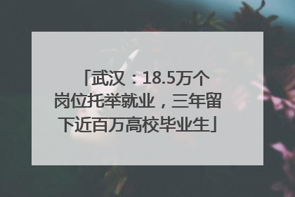 武汉：18.5万个岗位托举就业，三年留下近百万高校毕业生
