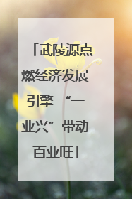 武陵源点燃经济发展引擎 “一业兴”带动百业旺