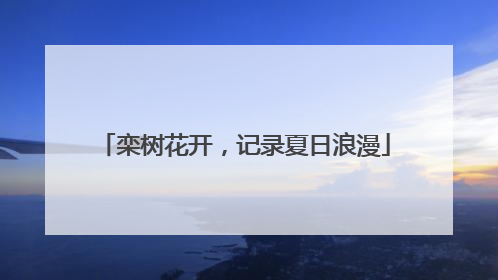 栾树花开，记录夏日浪漫